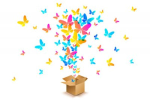 Fototapete Schmetterling, Box, weiß, Hintergrund, isoliert