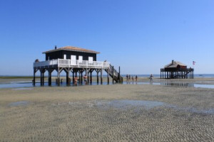 Fototapete Andere Insel, Sandbank, Aquitaine, Gironde, arcachon