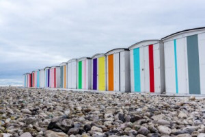 Fototapete Andere Wald, Meer, Urlaub, Strand, Holz