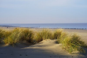Fototapete Strand, Meer, Sand, Wasser, Himmel