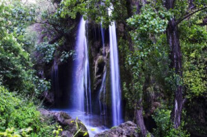 Fototapete Schönheit, Natur, Wasser, reisen, grün