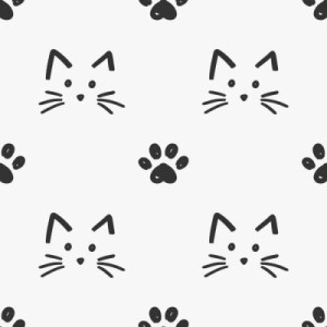 Fototapete Andere cat, Leiter, gestalten, Tier, Whisker