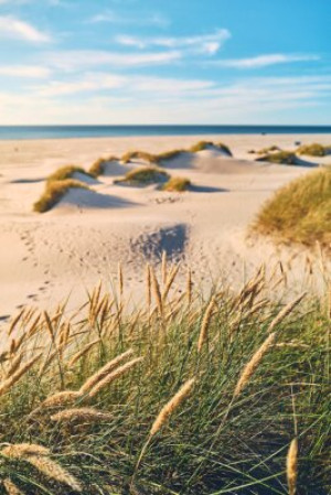 Fototapete Andere Strand, schön, Küste, Dänemark, Düne