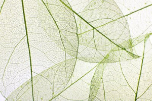 Fototapete Andere Eleganz, Textur, Hintergrund, abstrakt, Element