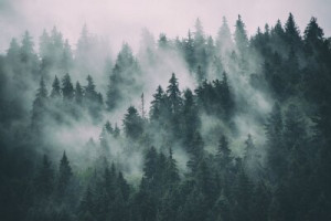 Fototapete Berge ansehen, Holz, Hintergrund, retro, vintage