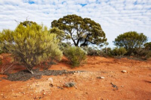 Fototapete Andere Hinterland, Landschaft, Natur, australien, nördlich