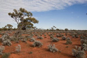 Fototapete Andere Hinterland, Landschaft, Natur, australien, nördlich