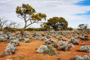 Fototapete Andere Hinterland, Landschaft, Natur, australien, nördlich