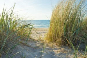 Fototapete Andere Sommer, Sand, noch, Meer, Urlaub