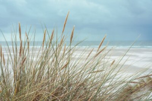 Fototapete Andere Nordsee, Meer, Strand, Urlaub, Düne