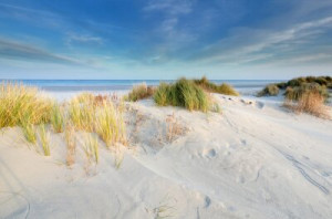 Fototapete Andere Nordsee, Meer, Ozean, Wasser, Strand