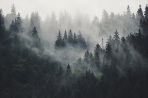 Fototapete Berge ansehen, Holz, Hintergrund, retro, vintage