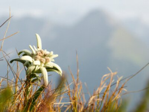 Fototapete Andere Hintergrund, Natur, Sommer, Wanderung, Berg
