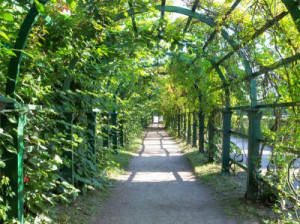 Fototapete Tunnels abstrakt, Natur, Sommer, Schatten, reisen