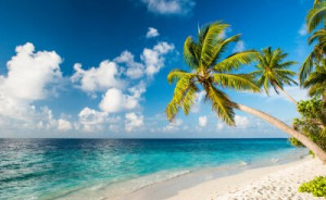 Fototapete Hintergrund, Natur, Sommer, Schatten, reisen