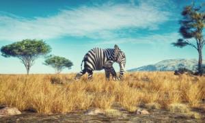 Fototapete Andere Hintergrund, Stärke, Kostüm, Landschaft, safari