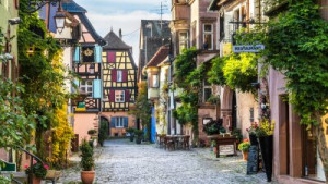 Fototapete Andere Elsass, Colmar, Frankreich, Weinstock, Herbst