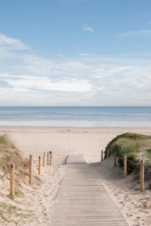 Fototapete Strand Holz, Sand, Meer, Urlaub, Strand