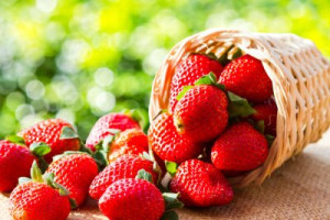 Fototapete Erdbeere, Obst, Lebensmittel, Beere, frisch