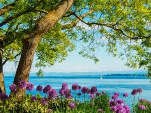 Fototapete Sommer, reisen, grün, frisch, blau