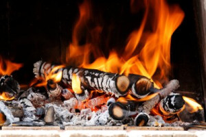 Fototapete Andere Wald, rauchen, warmen, Feuer, Wärme