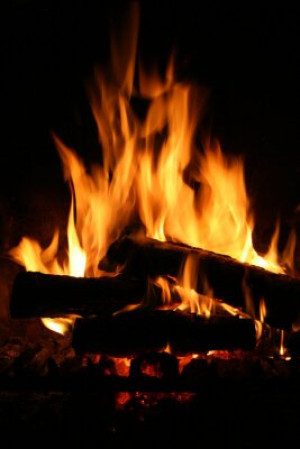 Fototapete Andere Holz, hot, Blesse, Feuer, Brise