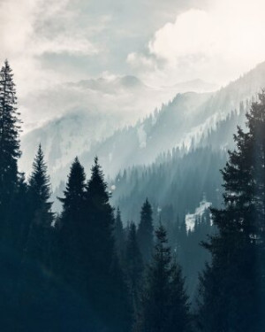 Fototapete Wald Kasachstan, Natur, schön, Wald, Landschaft