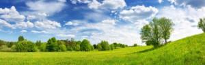 Fototapete Panorama, Feld, gelb, blau, Himmel