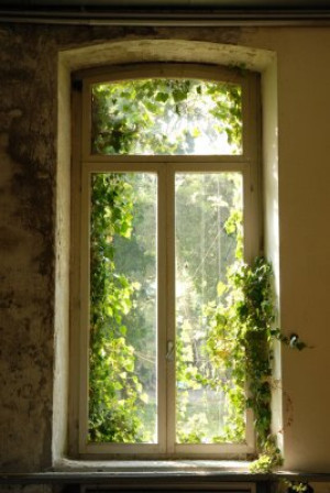 Fototapete Fenster ansehen, schmutzig, alt, vintage, Fenster