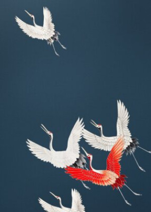 Fototapete Andere Tier, Hintergrund, banner, Vogel, blau