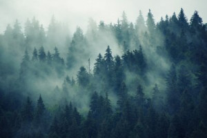 Fototapete ansehen, Holz, Hintergrund, retro, vintage