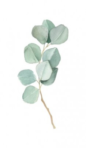 Fototapete Andere aquarelle, Anordnung, art, Hintergrund, Blüte