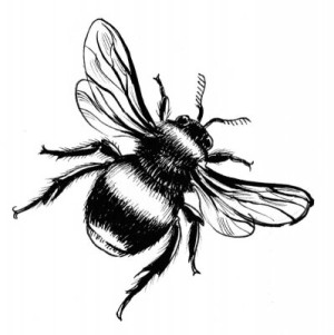 Fototapete retro, vintage, Illustration, Zeichnen, bee