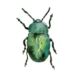 Fototapete Andere bug, Wasserfarbe, art, Käfer, farbenreich