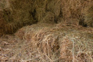 Fototapete Andere Heuballen, hay, Lagerung, Hangar, Landschaft