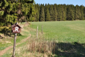 Fototapete Thüringen, Herbst, Landschaft, Natur, Wald