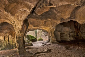 Fototapete im Freien, Abenteuer, Wald, Wandern, Urlaub