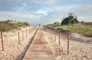 Fototapete Holz, Sand, Meer, Urlaub, Strand