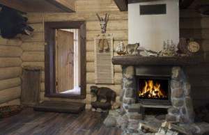Fototapete Andere Person, Holz, Wand, Tier, Tierwelt
