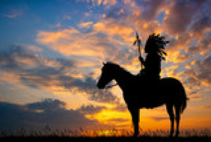 Fototapete Andere indisch, Pferd, Tier, Mähne, Säugetier