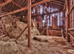 Fototapete Andere gelb, Holz, Alter, alt, Landwirtschaft