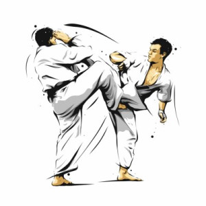 Fototapete Andere Karate, Kampfkunst, kämpfen, japan, Kick