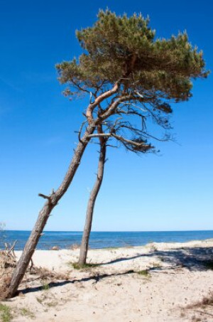 Fototapete Andere Schönheit, Natur, im Freien, Sommer, Wasser