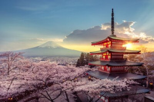 Fototapete Asien, asiatisch, Herbst, schön, blühen