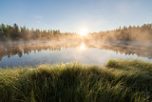 Fototapete Andere Hintergrund, Natur, Sommer, Wasser, frisch