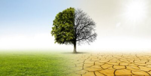 Fototapete Klima, ändern, Klimawandel, Baum, lea