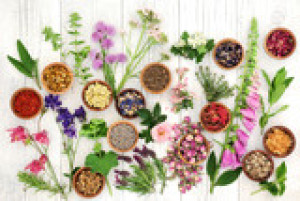Fototapete Andere Kraut, Blume, Kräuter, Medizin, natürlichen