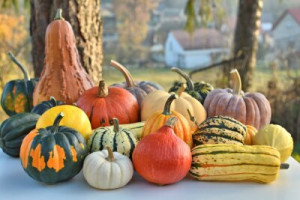 Fototapete Andere Hintergrund, Obst, Lebensmittel, gesund, frisch