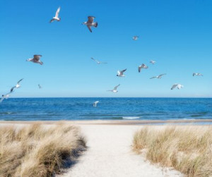 Fototapete Andere gelb, Hintergrund, Design, Natur, Sommer