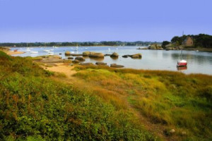 Fototapete Andere Schönheit, rosa, Natur, Sommer, Wasser